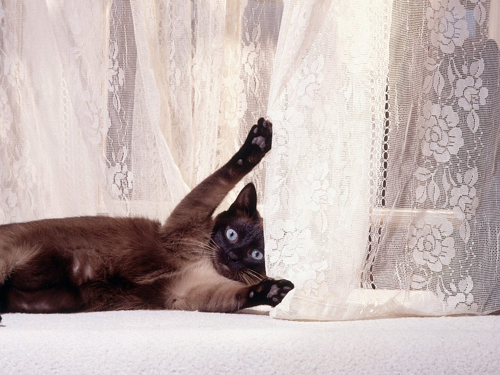 Big Stretch